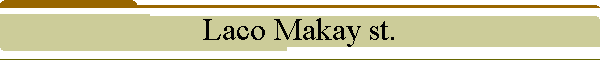 Laco Makay st.