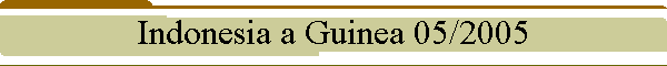 Indonesia a Guinea 05/2005