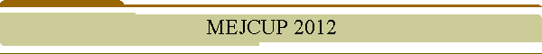 MEJCUP 2012