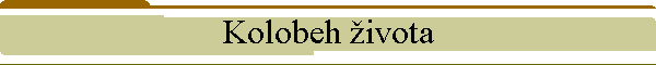 Kolobeh ivota
