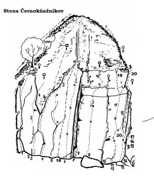 cernoknaznik