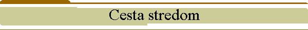 Cesta stredom